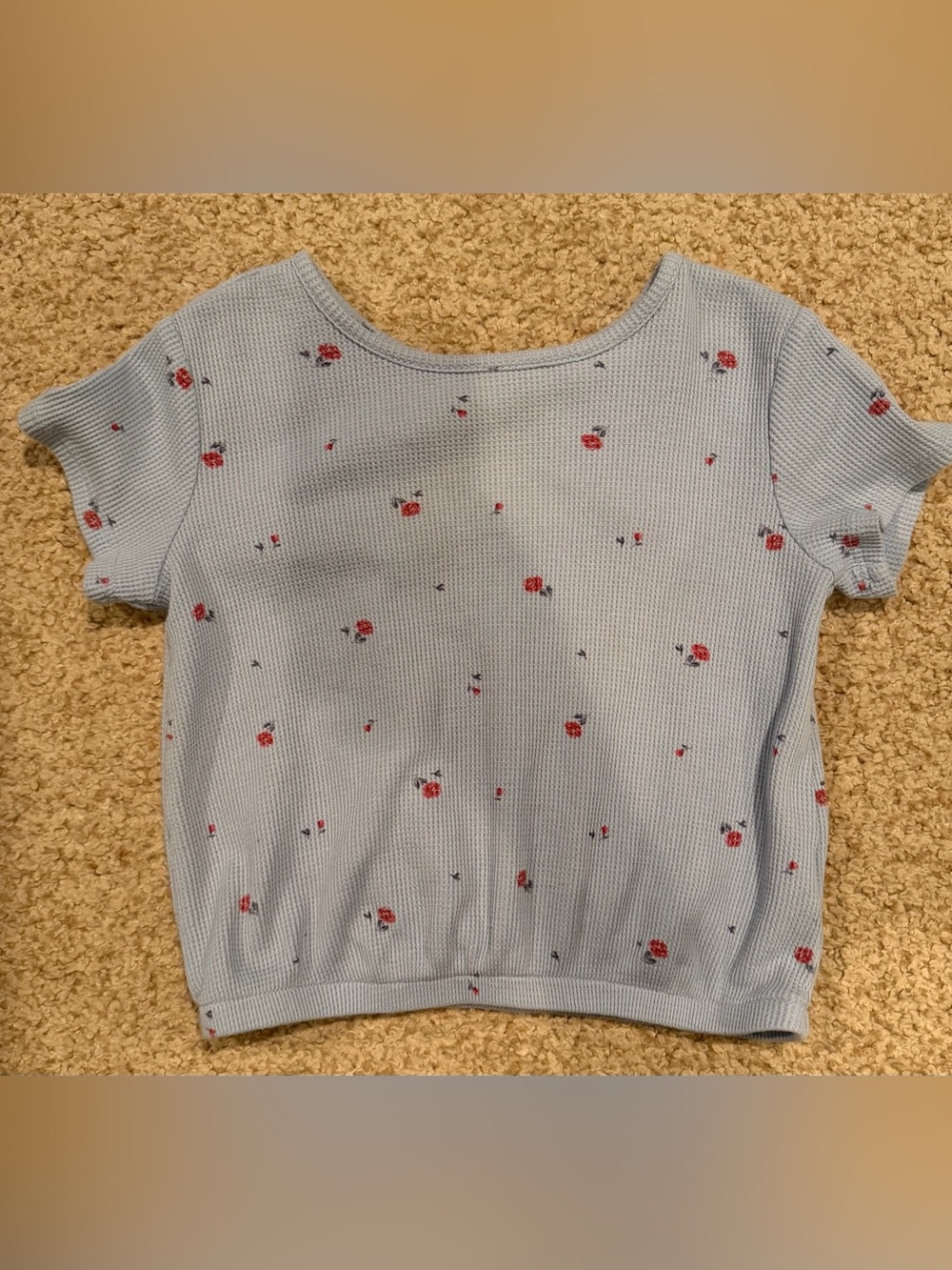OshKosh B'gosh Light Blue Knit Tee with Red Floral Print